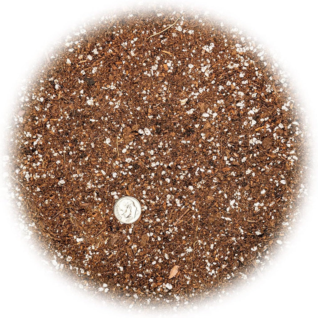 Gardenera Professional Carnivorous Plant Soil - Ready to Use for Venus Flytraps, Sundews, Pitcher Plants, Butterworts | Peat Moss, Coco Coir, Perlite - 5 Quart Bag