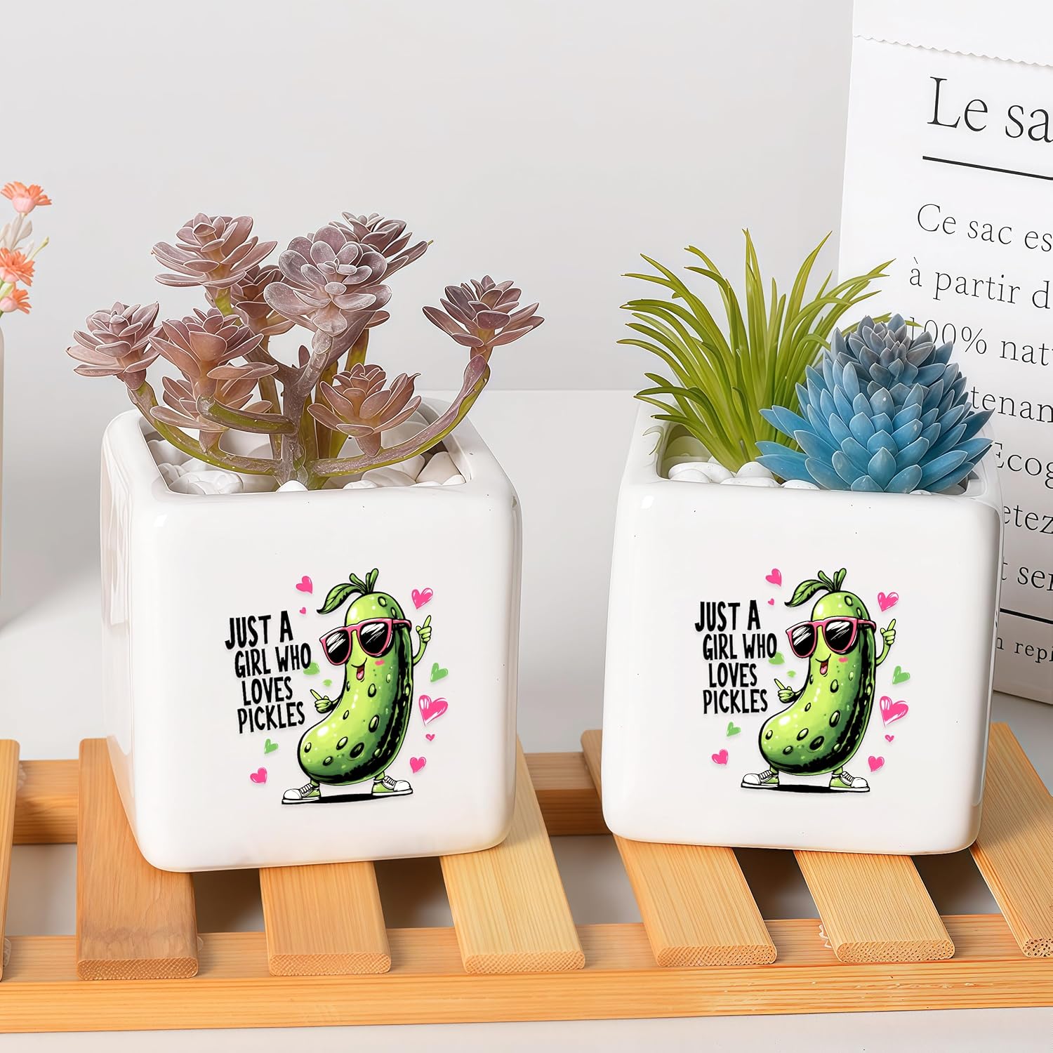 Pickle Succulent Planter Flower Plant Pot Small, Gifts for Women Teens Girls Kids, Pickle Lovers Themed Stuff Accessories Things Decor Merch, Home Office Table Desk Decoration!