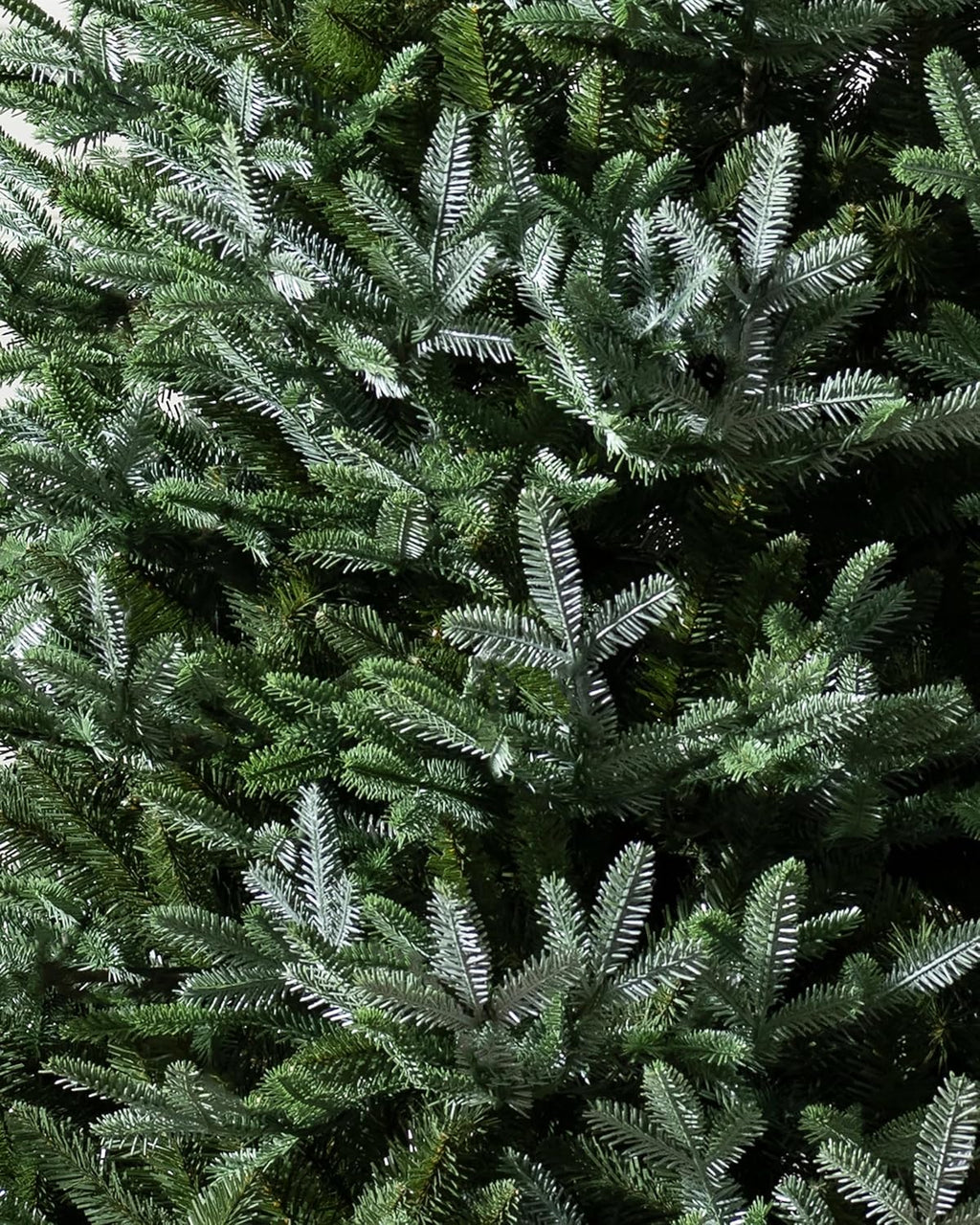 Balsam Hill European Silver Fir - Elegant Artificial Christmas Tree with True Needle Foliage Available Unlit or with LED Clear Lights, Unlit, 9'