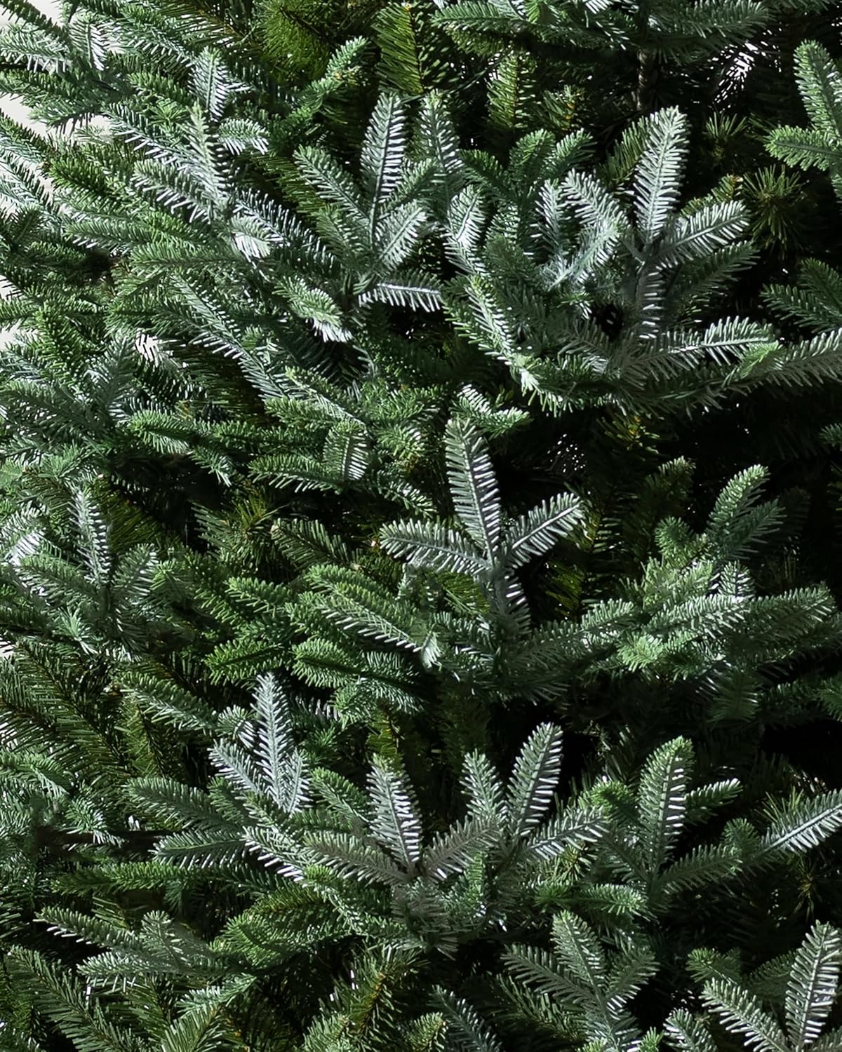 Balsam Hill European Silver Fir - Elegant Artificial Christmas Tree with True Needle Foliage Available Unlit or with LED Clear Lights, Unlit, 9'