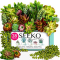 SEEKO Succulents Fake Succulents (28 Pack) – Premium Succulents Plants Artificial for Crafts - Large Assortment for Party, Garden, Home, Outdoor & DIY Floral Decor