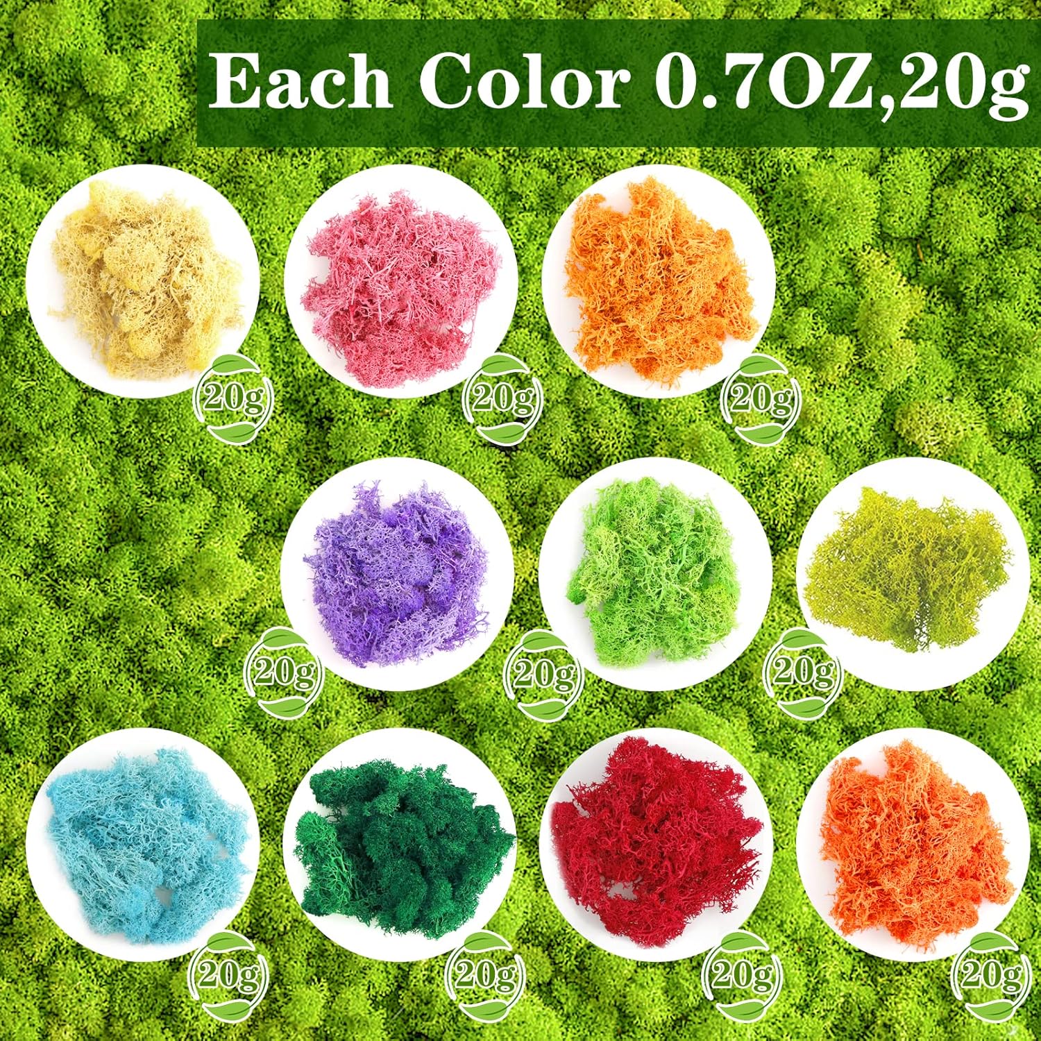 CCINEE 7 oz Mixed Color Reindeer Lichen, 10 Colors 0.7 oz Each Preserved Nordic Dried Floral Forest Lichen for Fairy Gardens Gift Packing Dressing Potted Flower Arrangement Craft Project Lichen Wall