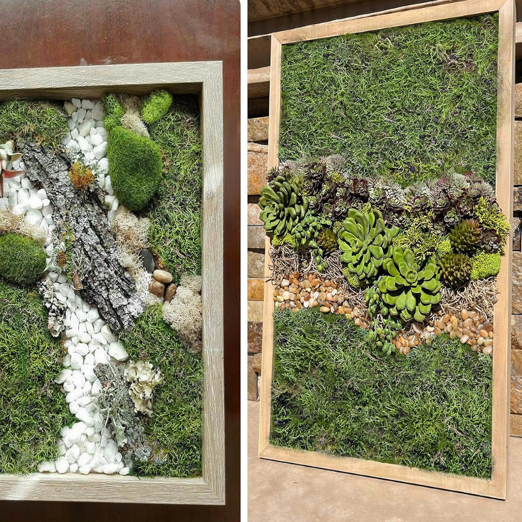 Preserved Moss for Crafts Potted Plants 2 sq.ft. Dried Natural Preserved Moss Mat Green Moss for Planters Crafts Woodland Decor Garden Party Decorations Wall Art DIY Project Green