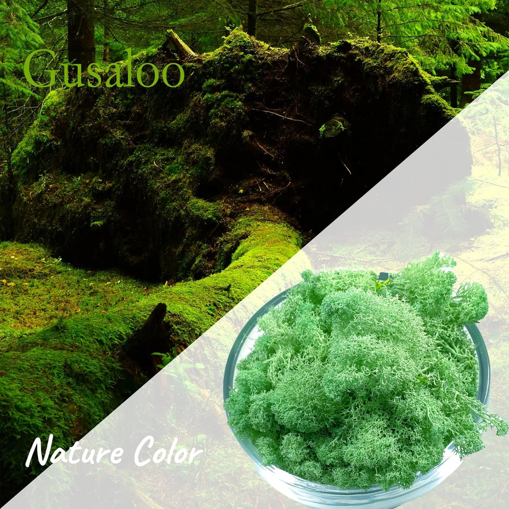Moss Preserved Moss - Natural Fresh Green for Crafts, Arts, Floral Projects, Wall & Table Decor, Wedding Centerpieces, Garden, Artificial Terrariums - Mint-Green 3.5OZ