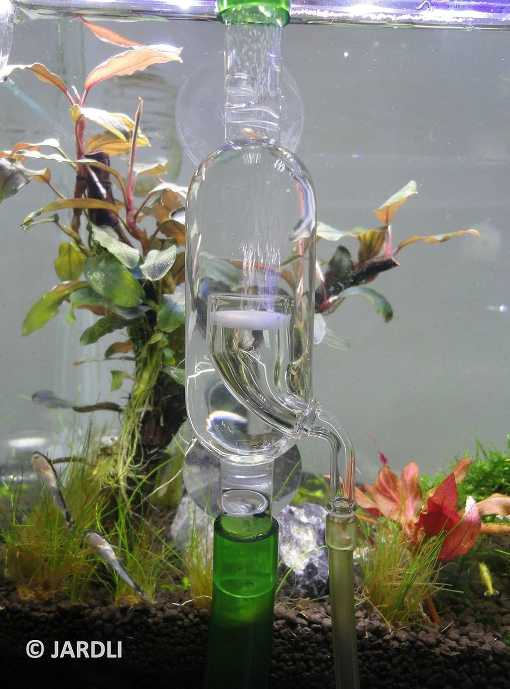 Glass Inline CO2 Atomizer Diffuser System for Aquarium Planted Tank (13mm for 12/16mm (1/2" i.d.) Hose)