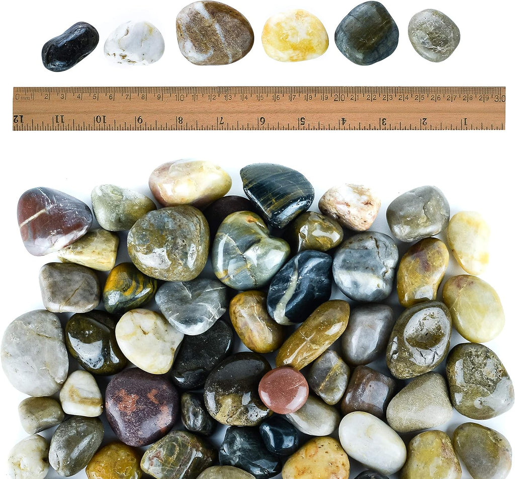 2 lbs Approx. 35 River Rocks Stones for Plants Pebbles for Indoor Plants | Aquarium Fish Tank Rocks | Polished Decorative Rocks for Vases (1.6-2.4 Inches)