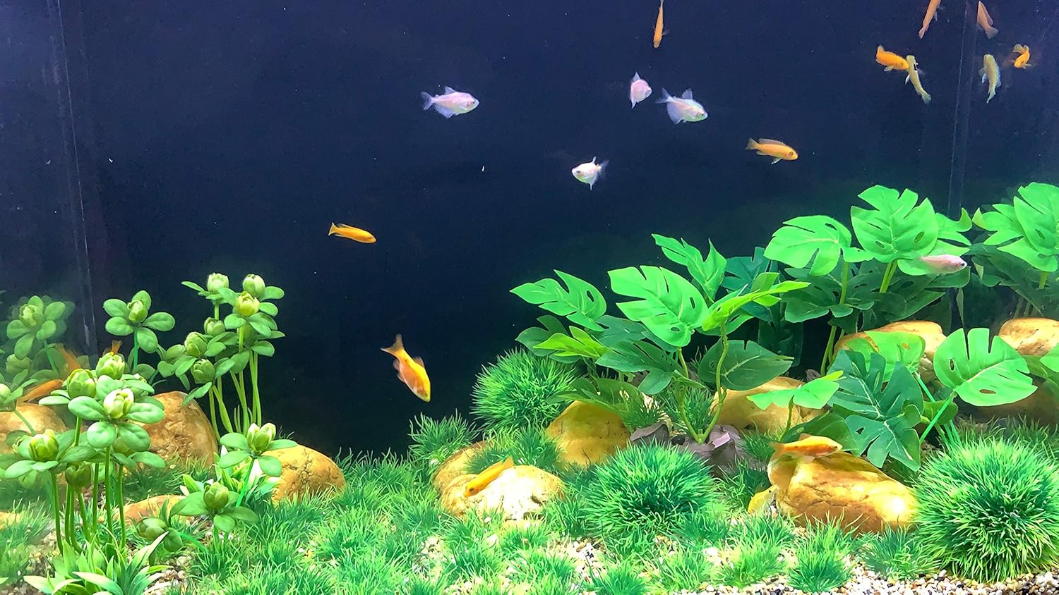 BEGONDIS Artificial Aquarium Green Water Plants Grass Ball Set 25 Pcs, Fish Tank Aquarium Decorations, Made of Soft Plastic