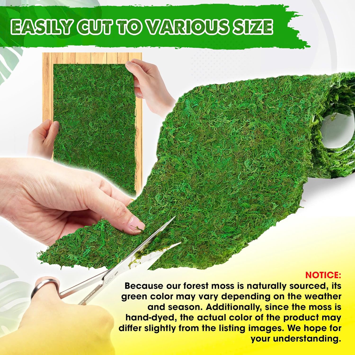 DUSPRO 51"x5.5" Sheet Moss Roll, Peel and Stick Moss Sheets for Crafts, Moss Sheets for Planters, Moss for Plants Indoor, Adhesive Moss Sheets for Fairy Garden, Sticky Moss for Table Decor