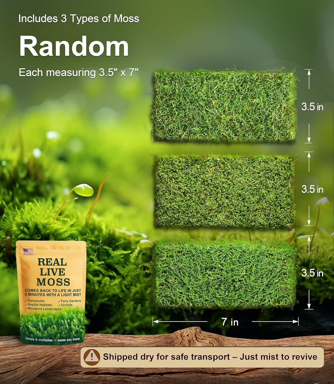 Live Moss Variety Pack – 3 Real Moss Types (Each 3.5"x7"), Decorative Moss for Terrariums, Bonsai, Fairy Gardens, and Plant Craft Projects – Reusable, Naturally Grown, Not Artificial