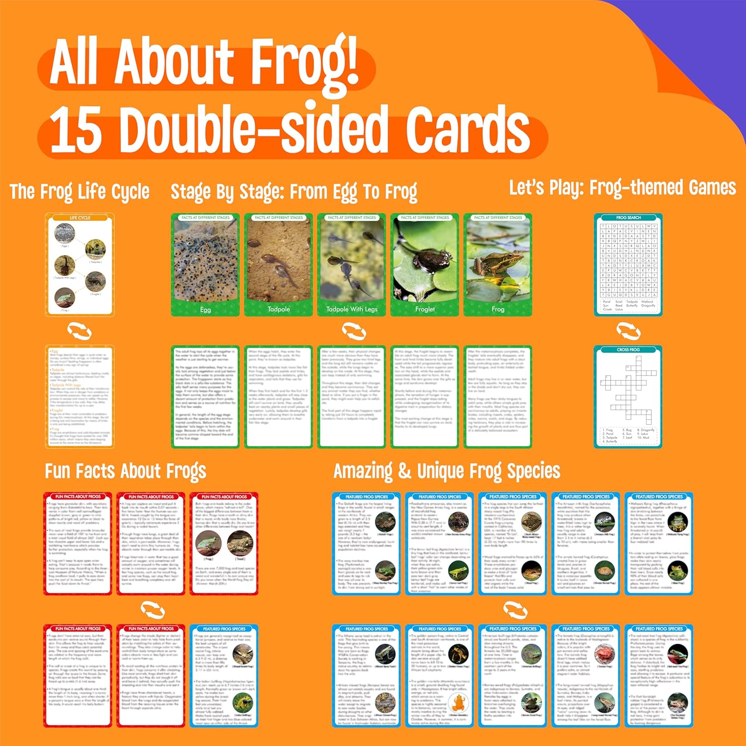 15 Frog Life Circle Flashcards with 5 Plastic Figurines, Frogs Introduction Cards Plastic Insects Tadpole to Frog Kit Toy for Kids, Adults, Animal Lovers