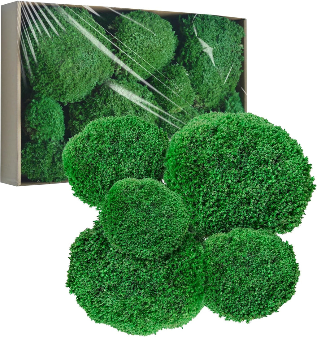 TurelinnG Preserved Moss Decor - Real Forest Moss, Moss for Crafts, Flexible for DIY Crafts, Home, Wall, Terrarium, Art Projects(Dark Green 2 sq.ft)