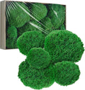 TurelinnG Preserved Moss Decor - Real Forest Moss, Moss for Crafts, Flexible for DIY Crafts, Home, Wall, Terrarium, Art Projects(Dark Green 2 sq.ft)