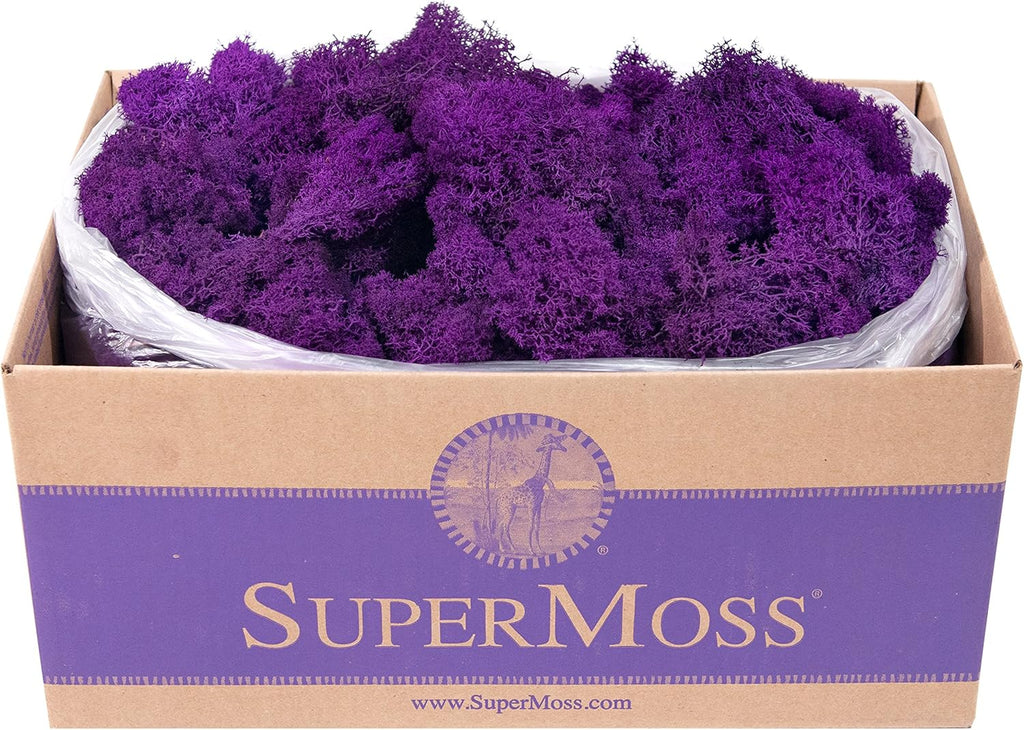 Super Moss (25145) Reindeer Moss Preserved, Purple, 3lbs