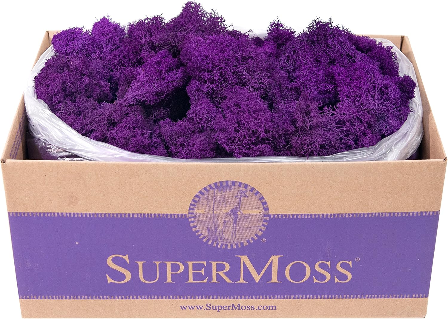 Super Moss (25145) Reindeer Moss Preserved, Purple, 3lbs
