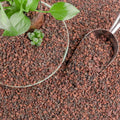 CJGQ 18lb Mix Lava Rocks for Plants - Horticultural Volcanic Rock Gravel for Landscaping, Succulents, Bonsai, Vase Fillers, Terrarium Plants, Top Dressing