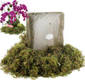 BYHER 19 OZ Fake Moss for Potted Plants Indoor, Artificial Moss for DIY Crafts, Faux Decroative Moss for Fake Plants Home & Garden Wedding Decor (Fresh Green - 540gr)