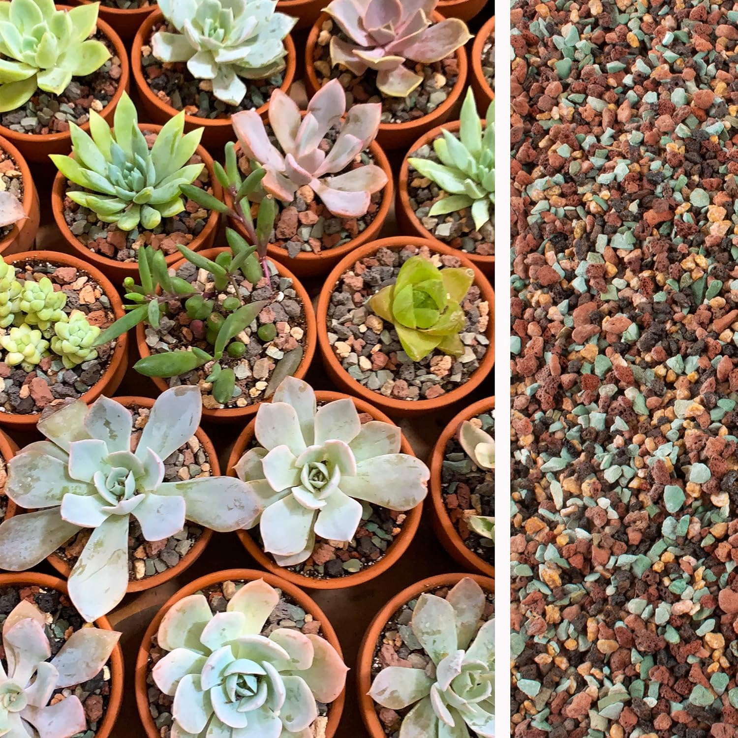 18lb Mix Lava Rocks for Plants in Door -Gravel Pebbles for Bonsai Succulent Cactus Potting Soil and Vase Fillers, Fairy Gardening,Top Dressing