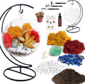 5" Glass Globe Succulent Terrarium Kit, Hanging DIY Starter Kit for Kids and Adult, Metal Stand, Reindeer Moss, Crystal & Rocks, Tools, Figurine (Live Plant Included)