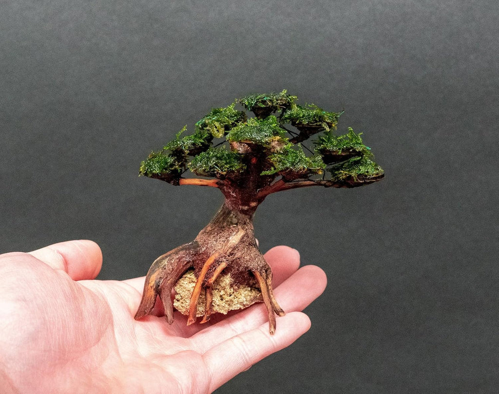 SubstrateSource Live Planted Decor - Moss on Bonsai (Aquascaping Tree) - Low to Moderate Light, Bright Green Freshwater Accent for Aquatic Layouts, Midground Placement Centerpiece - Small, 1 Pack