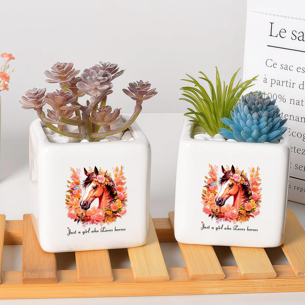Horse Succulent Planter Flower Plant Pot Small, Gifts for Women Teens Girls Kids, Horse Lovers Themed Stuff Accessories Things Decor Merch, Home Office Table Desk Decoration!