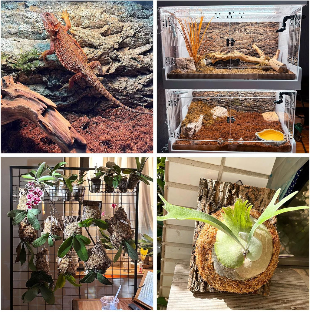Fhiny 4 PCS Cork Bark Background, 11.6" x 7.7" Natural Cork Bark for Reptiles Bearded Dragon Climbing Backdrop Terrarium Habitat Wall Decor Accessories for Turtle Gecko Lizard Snake Spider Frog