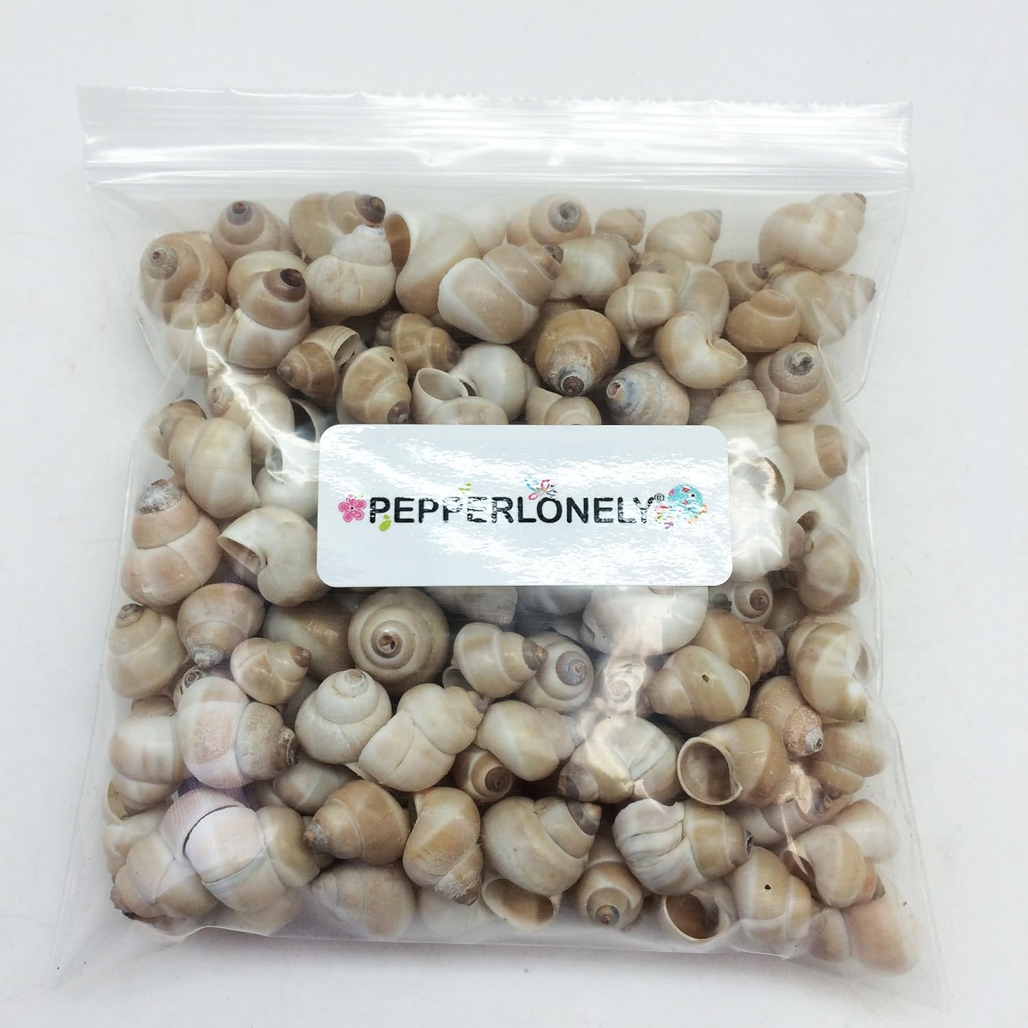 PEPPERLONELY Small Land Snail Sea Shells, 4 OZ Apprx.180+ PC Shells, 3/4 Inch ~ 1 Inch