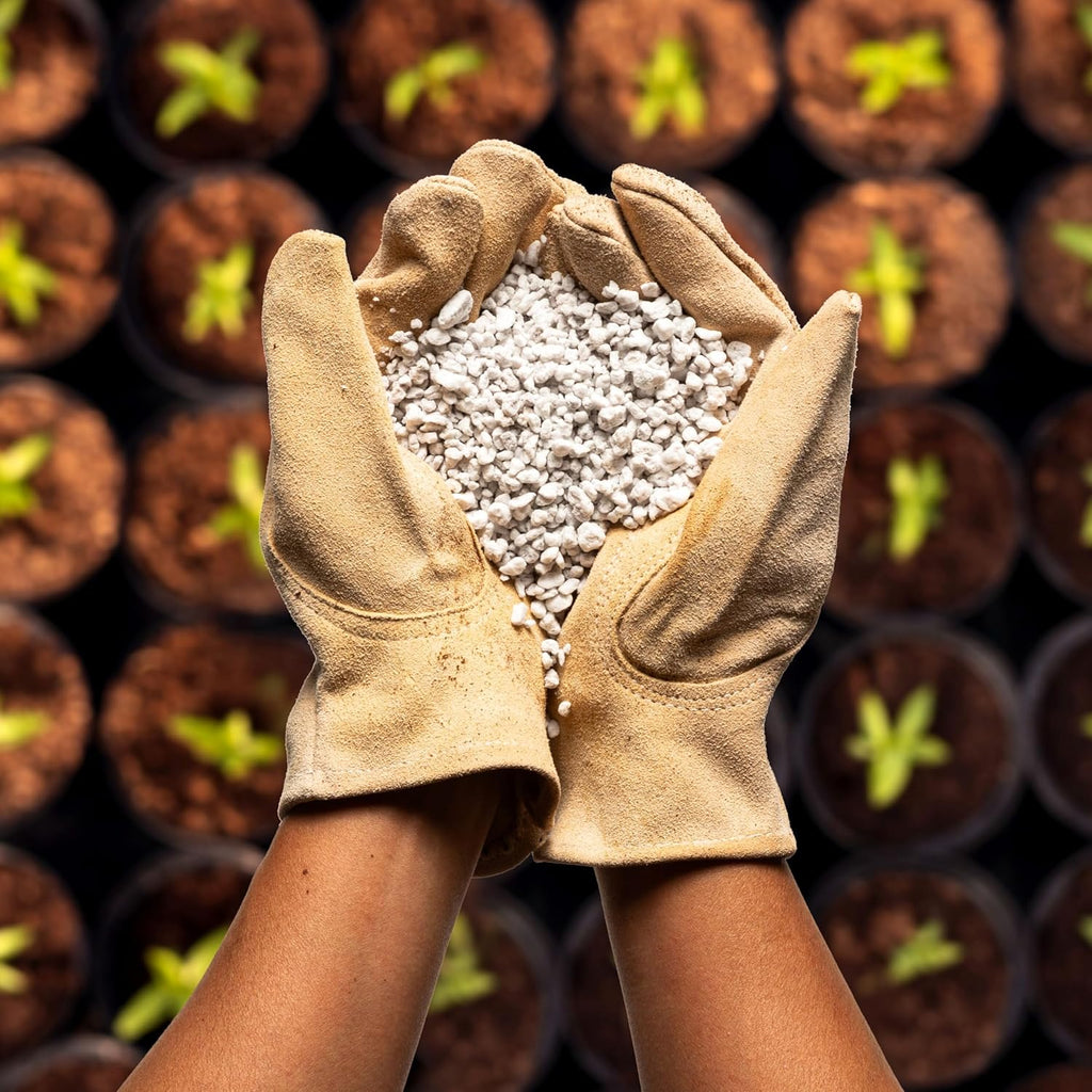 Perlite Bliss (8 Qts) - Organic Perlite for Plants - Coarse Perlite Bulk Soil Amendment - Chunky Perlite for Plants, Potting Soil, Garden Soil, & Coco Coir - Horticultural Perlite for Gardening