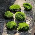 Artificial Moss Blocks for Garden Decoration, 6-Piece Set, Green Decorative Moss Stones Suitable for Ecological Tanks, elf Gardens(Realistic Green Faux) Fake Moss