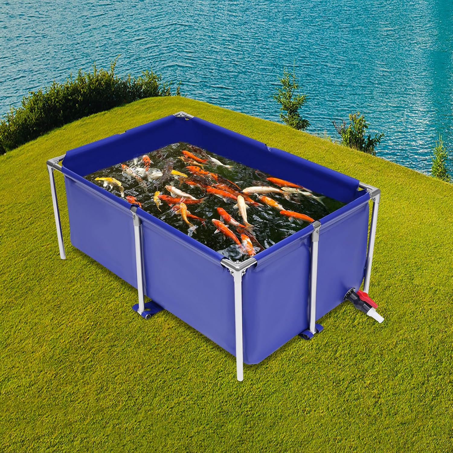 Canvas Fish Pond | Above Ground Fish Pond | Blue Aquarium Pool | Rectangular Goldfish Tank with Steel Frame & Drain Valve | for Breeding Koi, Irrigation | 47.2" L x 31.4" W x 19.6" H
