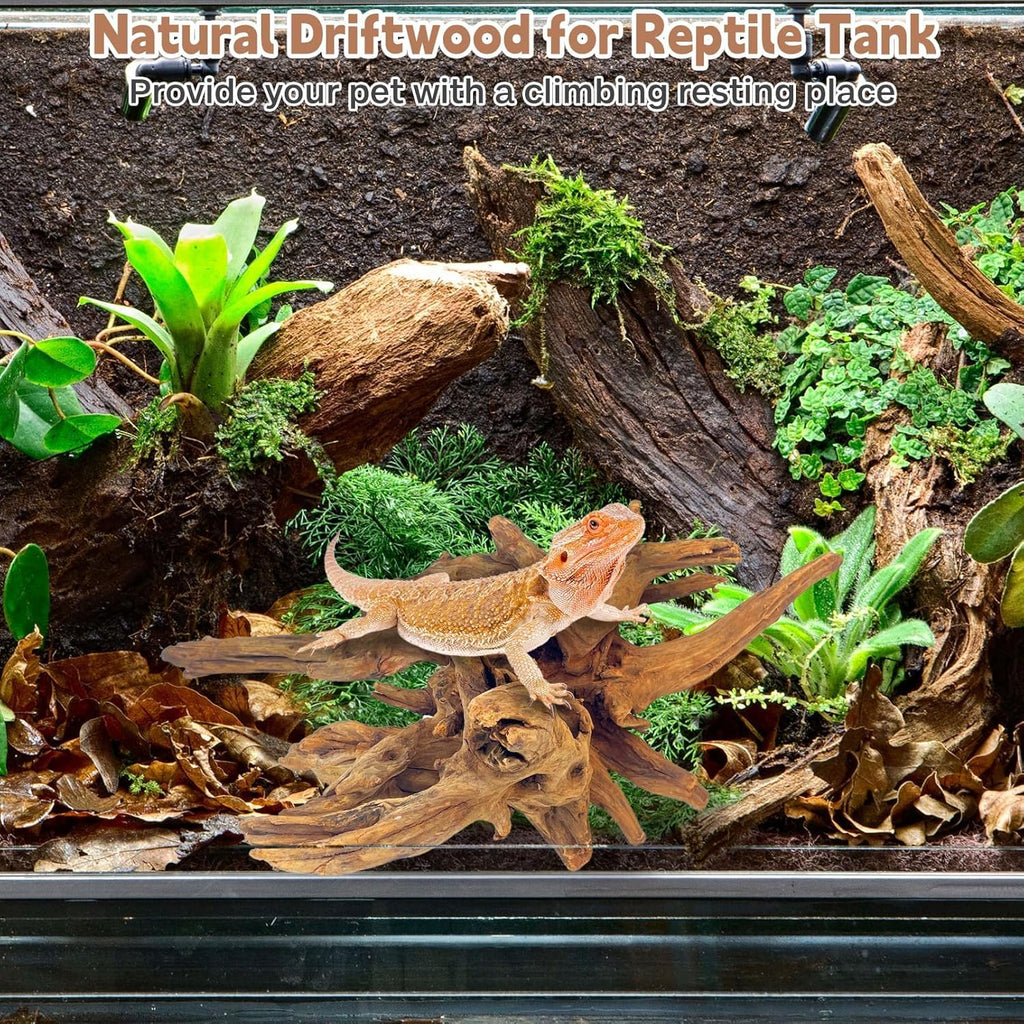PINVNBY Natural Driftwood for Aquarium Decor Fish Tank Decorations Reptile Decor Driftwood Decor, 3 Pieces 7"-11" Assorted Driftwood Branch