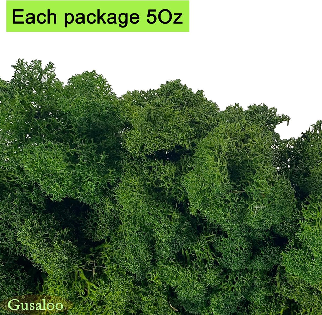 Preserved 5oz Moss Artificial Moss Natural Fresh Green Moss for Craft Handicraft Arts Floral Project Wall Decor Table Decor Wedding Centerpieces Garden Terrariums Decoration-Green