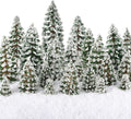 Skylety 35 Pieces Model Trees 1.2-6.3 Inch Mixed Miniature Trees Diorama Supplies Fake Plants Train Scenery Landscape Christmas Village Architecture DIY Crafts(Dark Green,Snowy Cedar)