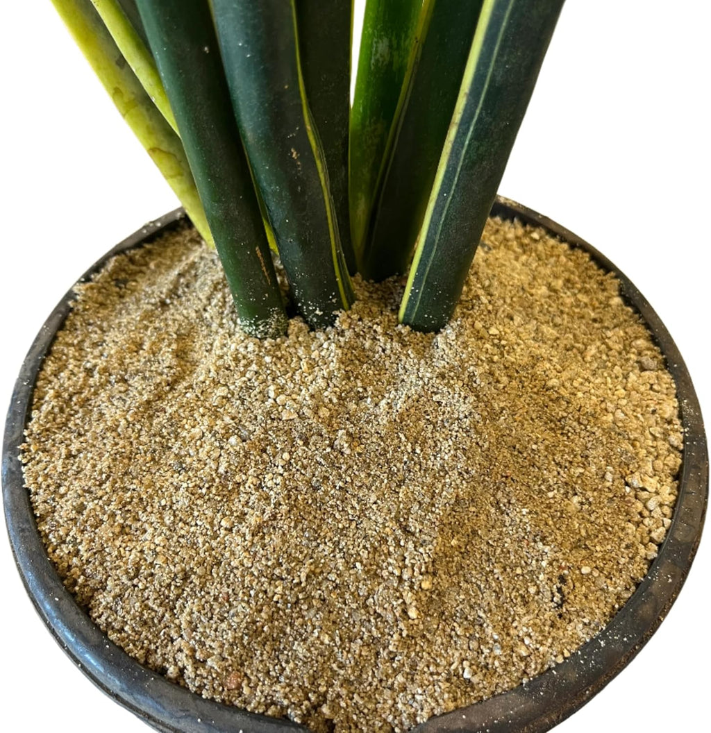 Coarse Horticultural Sand — Washed Natural Sand for Succulents, Cactus, Bonsai & Propagation (Course Sand, 2 Quarts)