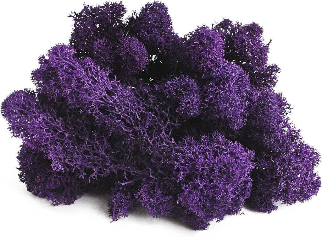 SuperMoss (21798 Reindeer Moss – Soft Preserved Moss for Home Decor, Crafts, Terrariums, Floral Design, and Wedding Decorations, 2,588 cu in, Purple
