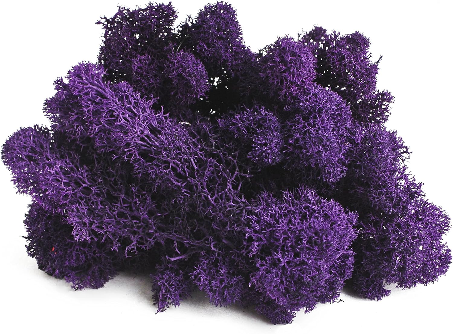 SuperMoss (21798 Reindeer Moss – Soft Preserved Moss for Home Decor, Crafts, Terrariums, Floral Design, and Wedding Decorations, 2,588 cu in, Purple
