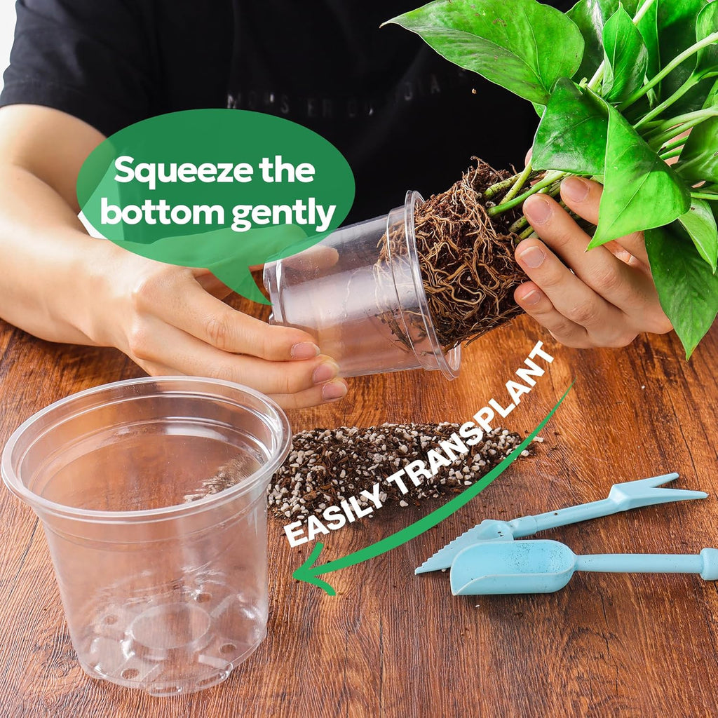 50 Packs 4 Inch Reinforced Clear Nursery Pots with Drainage Holes, Transparent Plastic Plant Pot Seedling Planter for Vegetable Propagation, Root Cutting, Seed Starting
