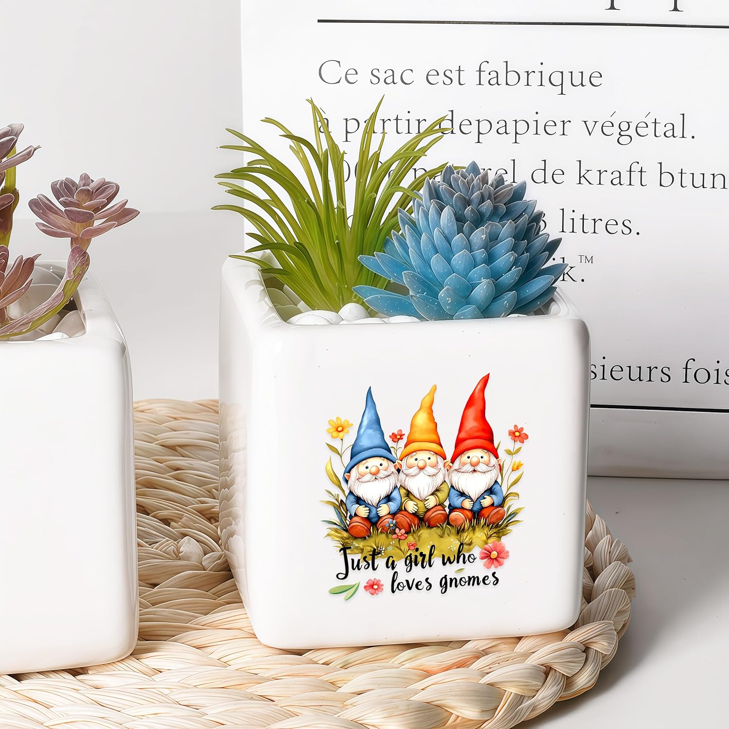 Gnomes Succulent Planter Flower Plant Pot Small, Gifts for Women Teens Girls Kids, Gnomes Lovers Themed Stuff Accessories Things Decor Merch, Home Office Table Desk Decoration!