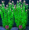 2 pcs Aquarium Decor Plants 21 Inches Extra Large Artificial Plastic Fish Tank Plants, Tall Fish Tank Decorations