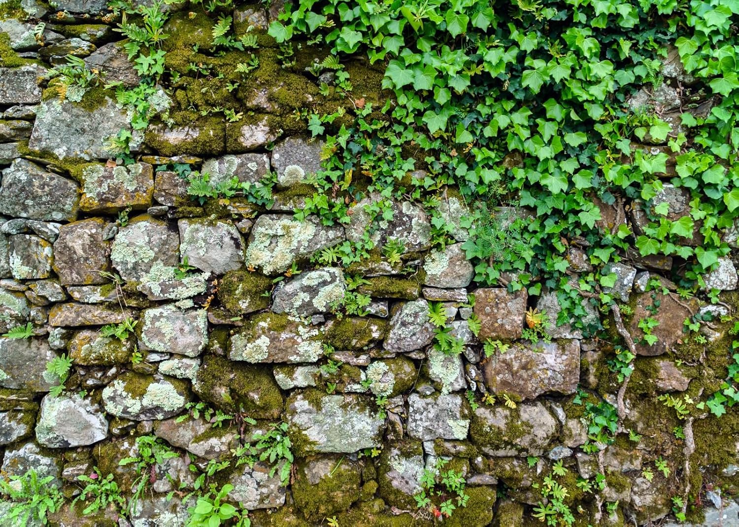 BELECO 10x10ft Fabric Brick Stone Wall Backdrop Ancient Rock Wall with Green Ivy Leaves Rock Stones Textured Background Vintage Stone Wall Party Decorations Banner Photoshoot Props