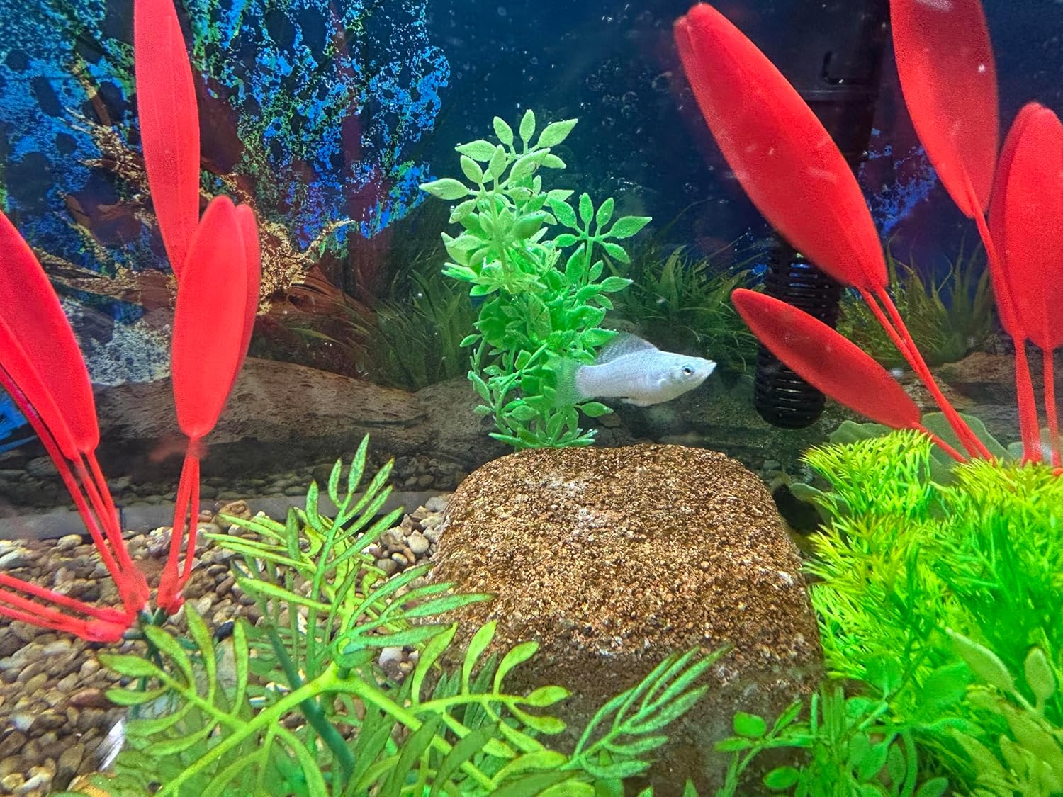 Aquarium Stone for Natural Water Clarification and Odor Removal (Nano)