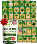 HOME GROWN 30 Herb Seeds for Planting 9,500+ Non-GMO Heirloom Seeds | Extra Large Variety Pack Herb Kit – Indoor Outdoor & Hydroponic | Culinary Seed Set | Grow Your Own Herbs | Gardening Gift