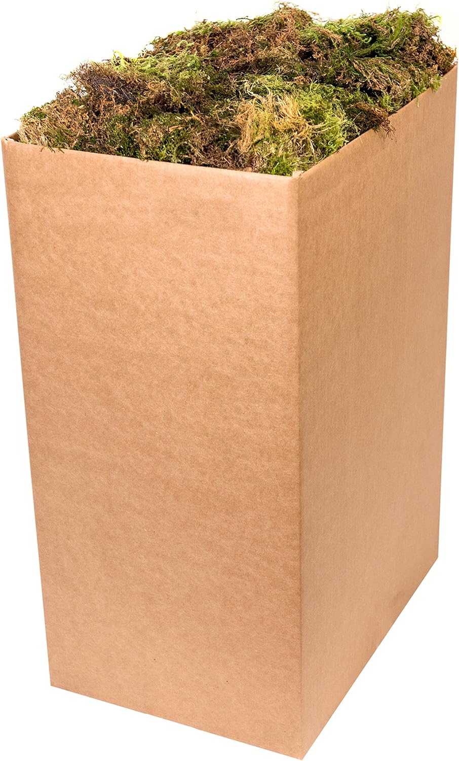SuperMoss (21704) Forest Moss Dried, Natural, 10lbs