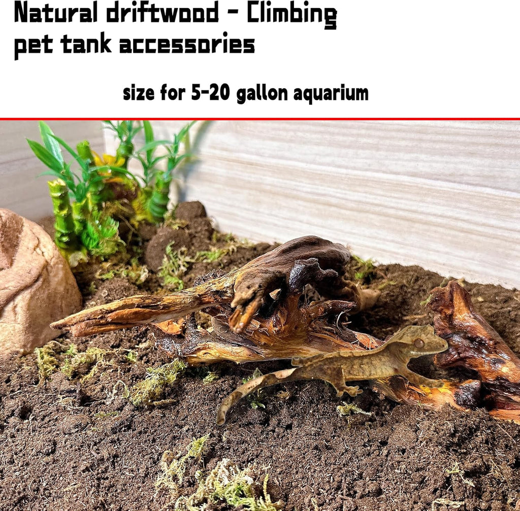 Hamiledyi 5PCS Aquarium Driftwood,3.5-7in Natural Coral Wood,Fish Tank Driftwood Assorted Branches Reptile Tank Decor Aquarium Decoration