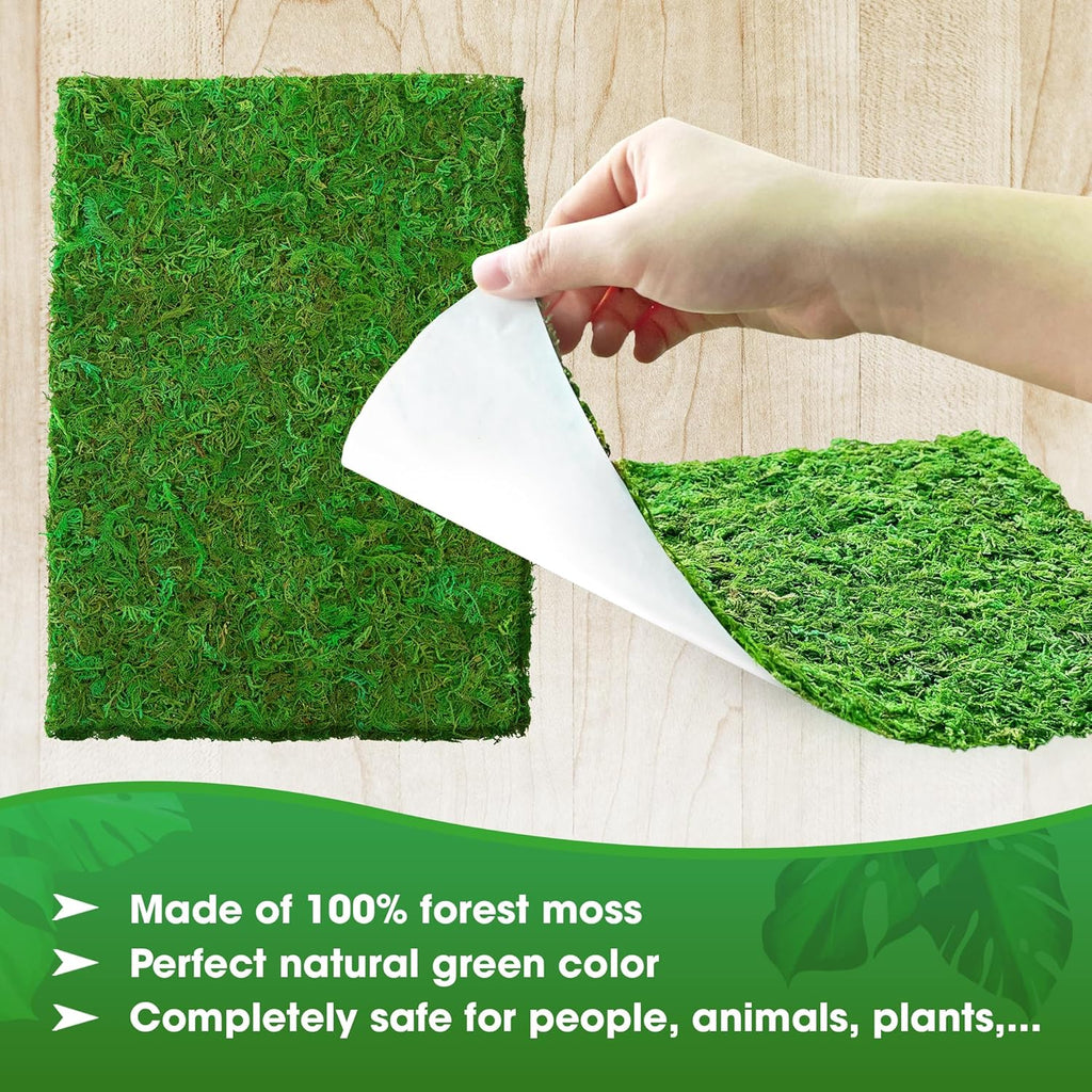 DUSPRO 13x9.5 Inches Moss Mat 2Pcs, Peel and Stick Moss Sheets for Crafts, Moss Sheets for Planters, Moss for Plants Indoor, Adhesive Moss Sheets for Crafts, Sticky Moss for Fairy Garden