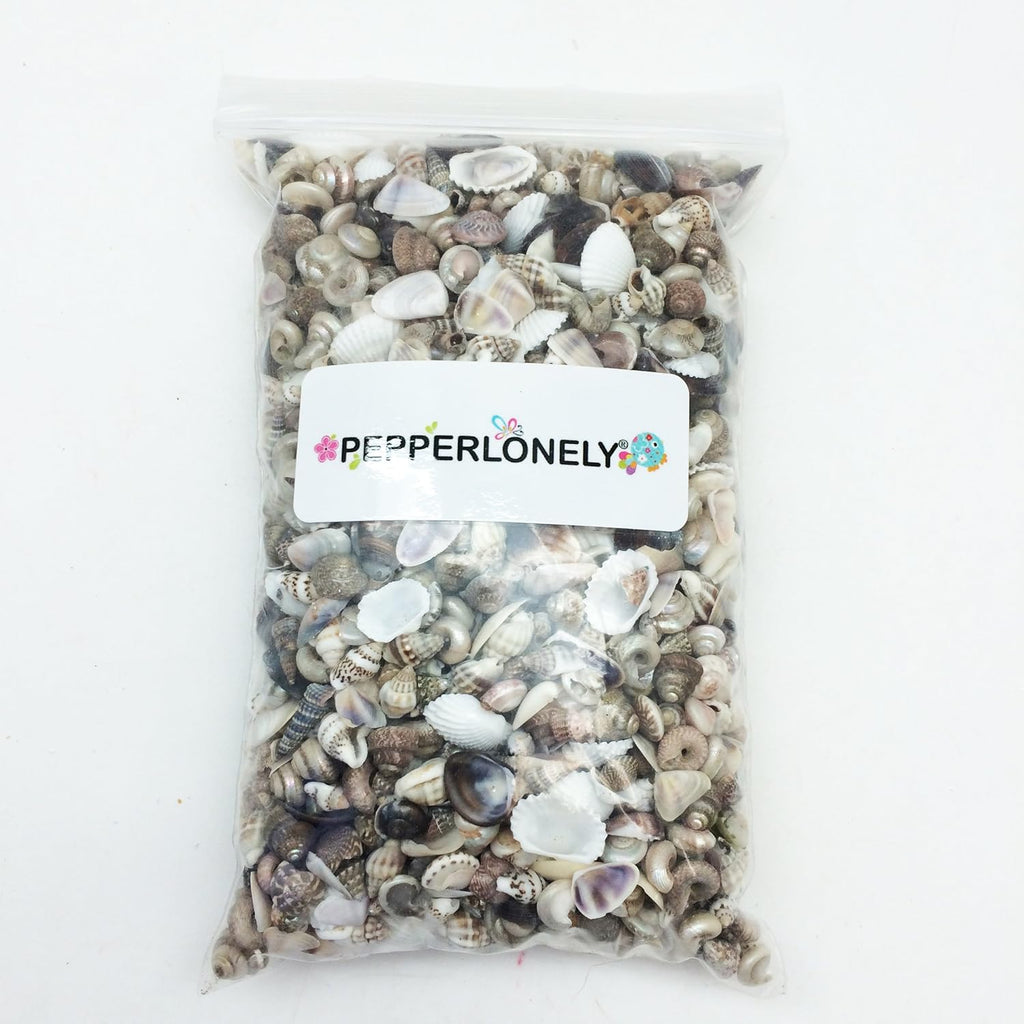 PEPPERLONELY Extra Tiny Mix Sea Shells, Very Small & Clean, 8 OZ Apprx. 1600+ PC Shells, 1/4 Inch ~ 1/2 Inch