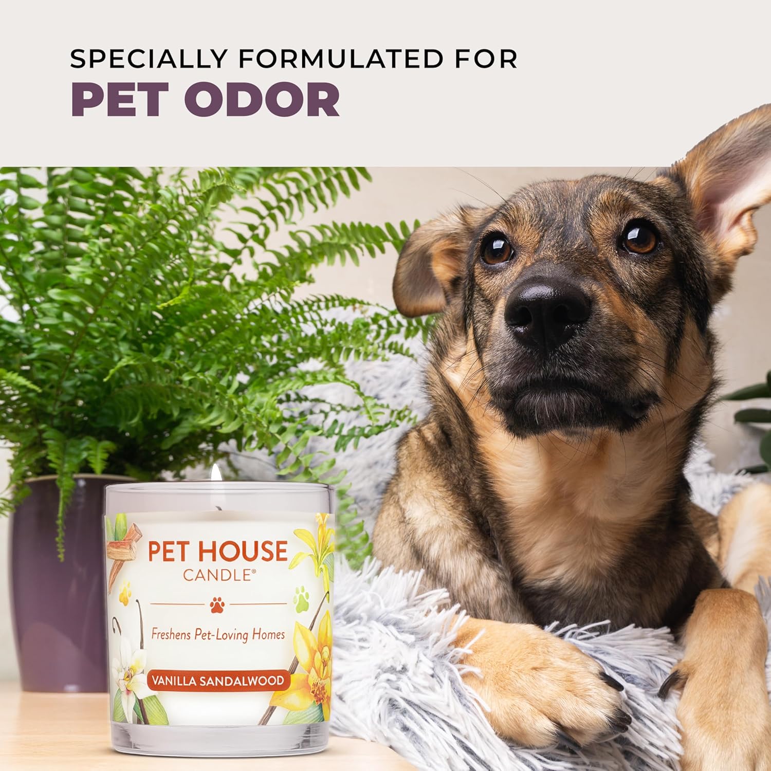 One Fur All Pet House Candle 2 Pack - Plant-Based/Soy - Clean Burning Scented, Long Lasting Pet Odor Candle for Home - Lavender Green Tea
