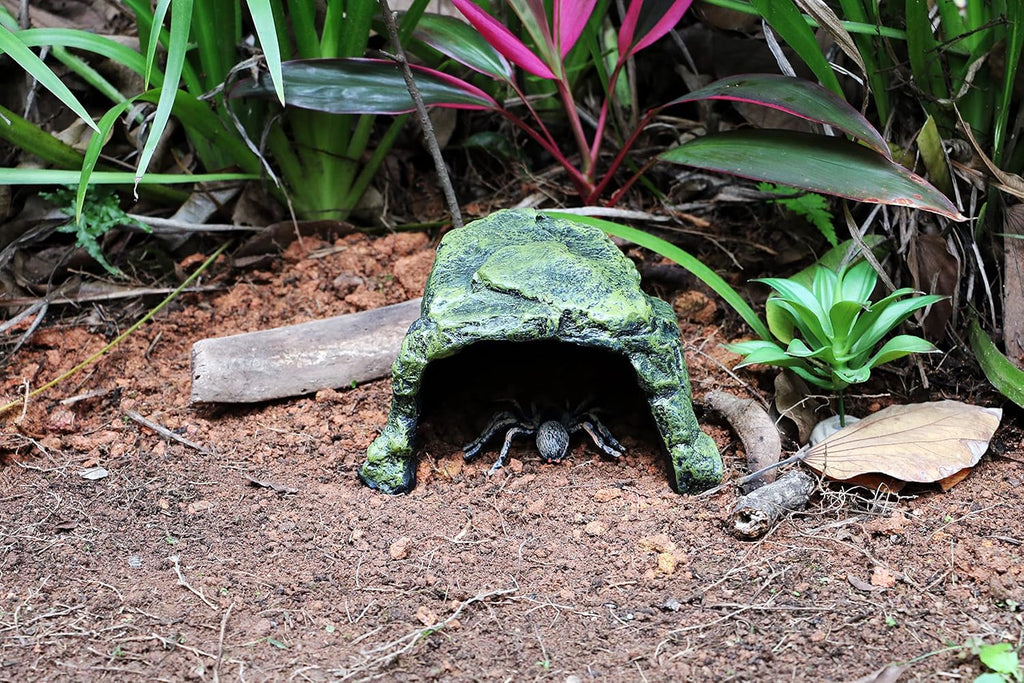 MODERNJOE'S Rock Hide Cave Hiding Place for Reptiles, Amphibians and invertebrates. Terrarium & Aquarium Decor. Perfect for Lizards,Snakes,Frogs,Turtles,Bearded Dragons - Large(6.7 x 7.3 x 4.5 inch)
