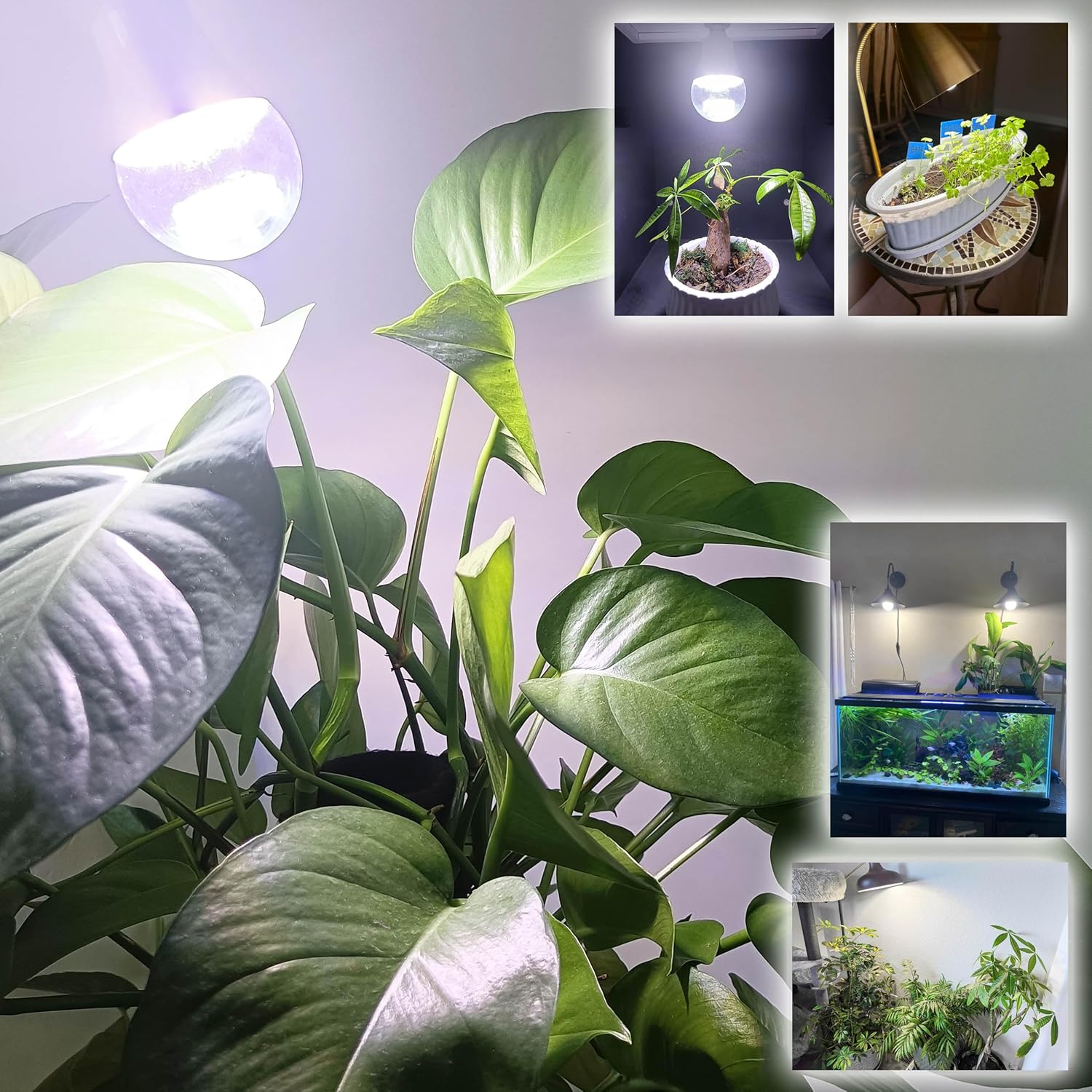 ALIDE E17 Intermediate Base Plant Grow Light Bulbs for Indoor Plants, E17 Full Spectrum Sun Grow LED Lamp 10W with Balanced Spectrum 5000K Red Blue Yellow for Seeds Greens Laboratory,Greenhouse,3Pack