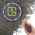 45Lb Horticultural Lava Rock-Lava Rocks for Plants,Succulent Soil Amendment,Decorative Cactus Soil Potting Mix,Volcanic Rock for Aquarium Fairy Gardening Top Dressing Plant Drainage