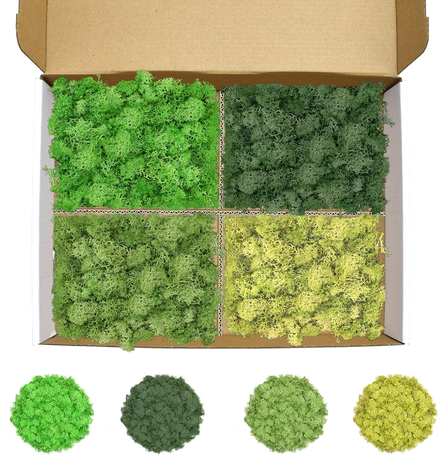 Preserved Reindeer Moss 14 OZ 4 Colors for DIY Gift, Potted Plants,Craft Decor,Wall Art,Festive Home Decorative Christmas(Green, Dark Green, Chartreuse and Yellow Green, Each Color 3.5 OZ)